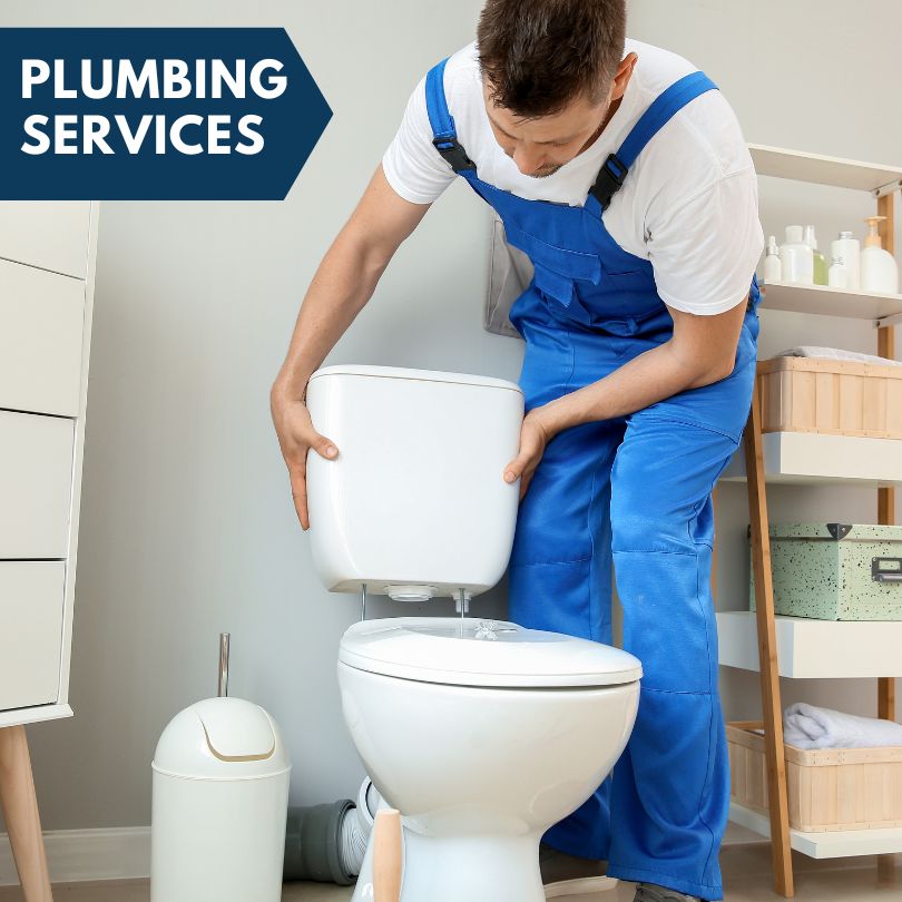 Plumbing Company in Cropsey, IL